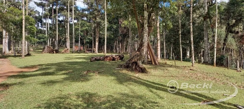 Sítio, 5 hectares - Foto 17