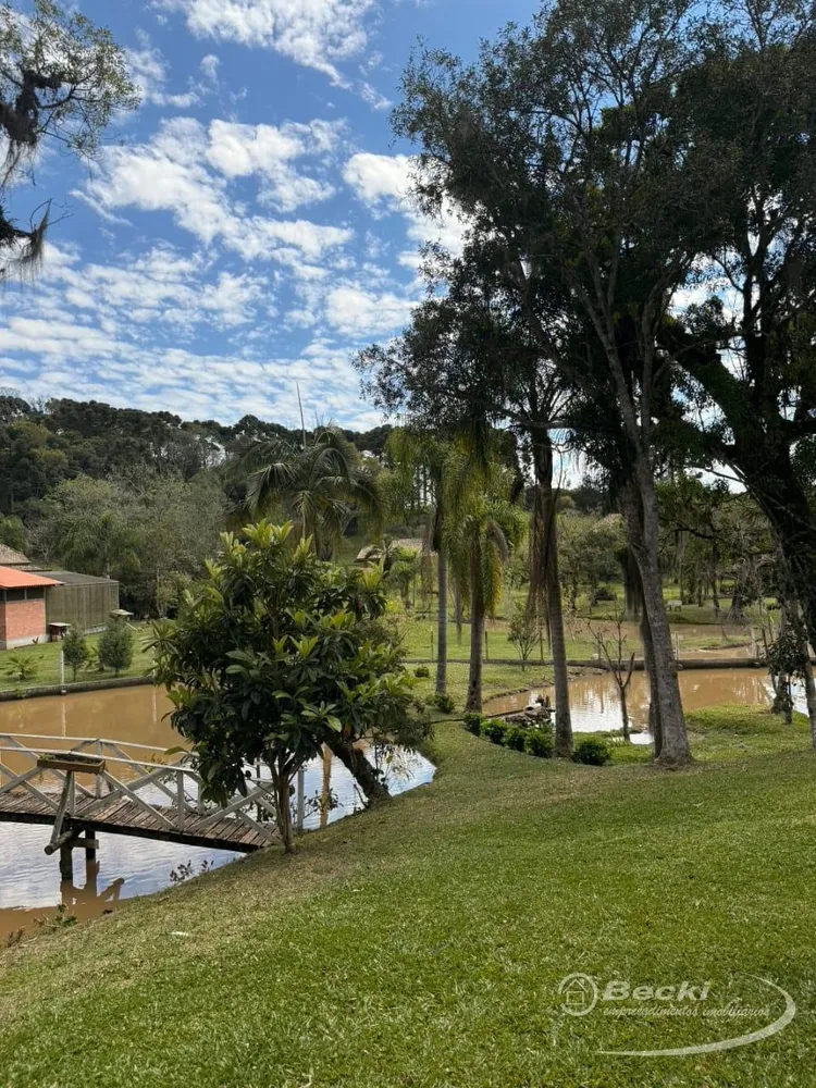 Sítio, 5 hectares - Foto 11