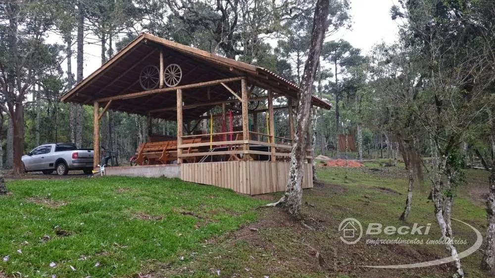 Sítio, 5 hectares - Foto 19