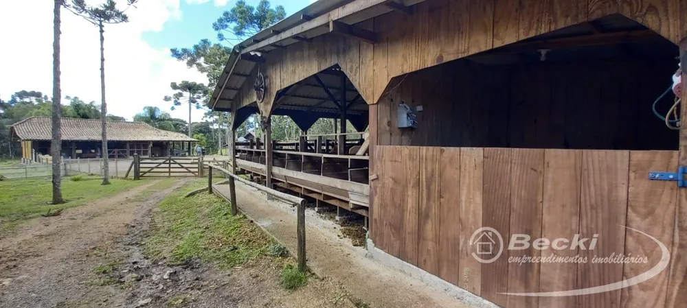 Sítio, 5 hectares - Foto 18