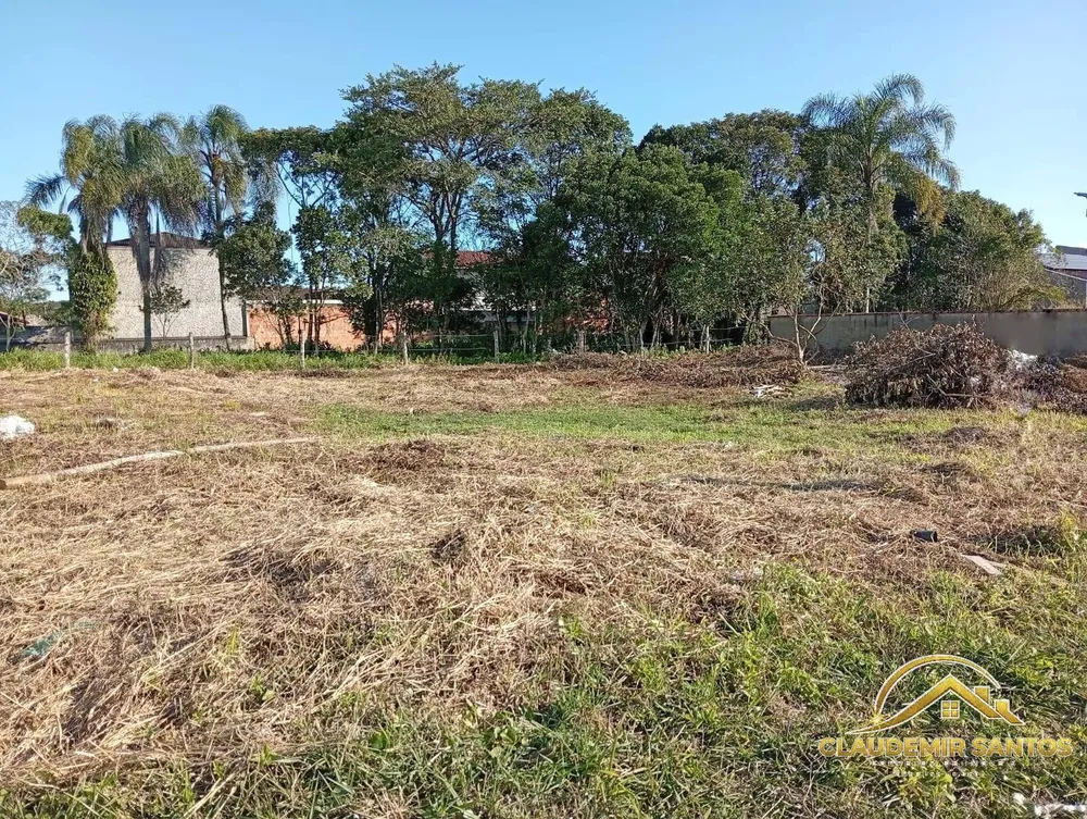 Terreno - Foto 5