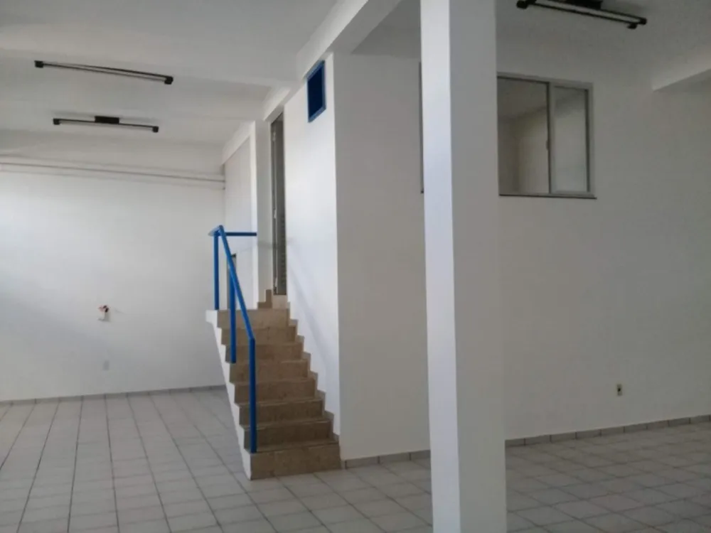 Casa, 4 quartos, 560 m² - Foto 3