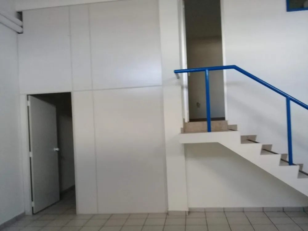 Casa, 4 quartos, 560 m² - Foto 5