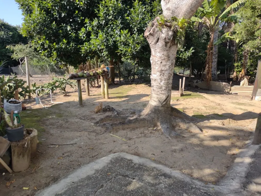 Terreno, 2316 m² - Foto 7
