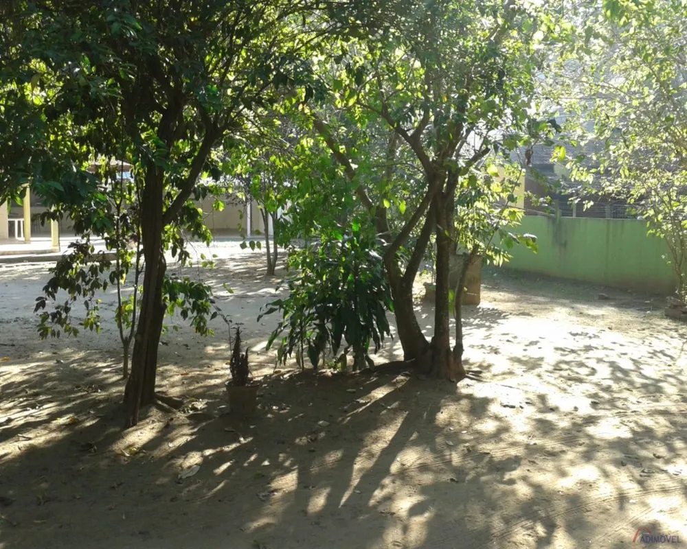 Terreno, 3 hectares - Foto 6