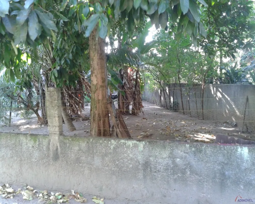 Terreno, 3 hectares - Foto 11