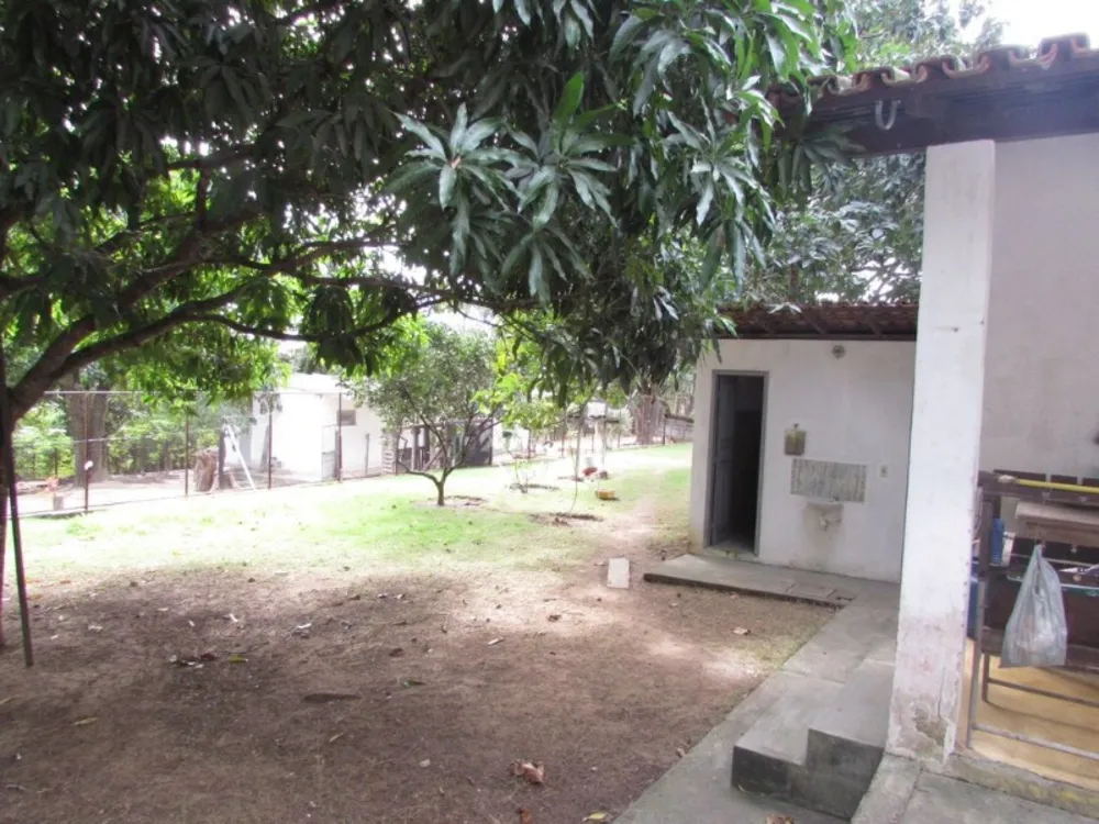 Chácara, 6 quartos - Foto 3