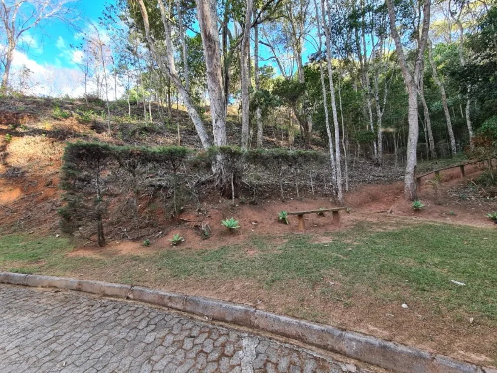 Terreno, 2315 m² - Foto 8