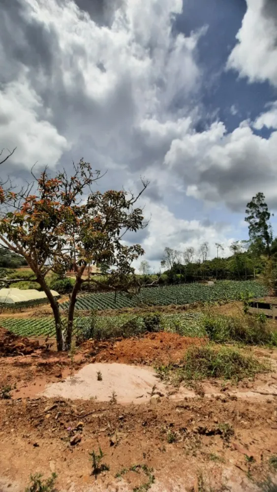 Casa, 3 quartos, 30000 m² - Foto 12