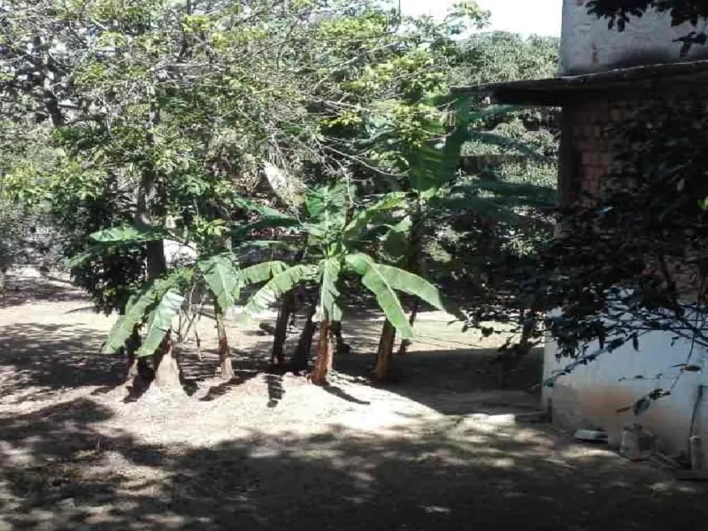 Chácara, 3 quartos, 1250 m² - Foto 7