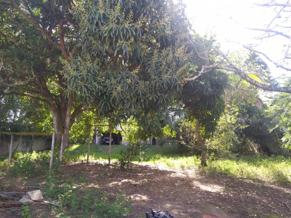 Chácara, 3 quartos, 1250 m² - Foto 5