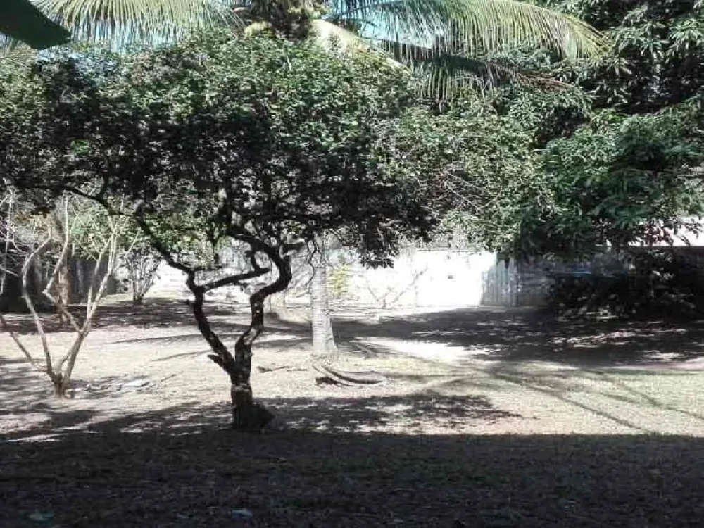 Chácara, 3 quartos, 1250 m² - Foto 6