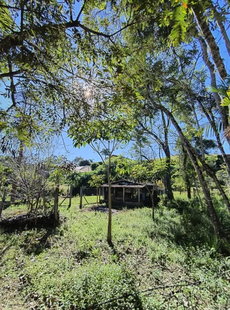 Sítio, 1 quarto, 4000 m² - Foto 3