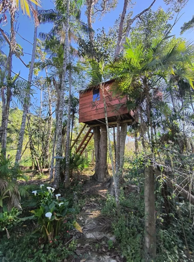 Sítio, 1 quarto, 4000 m² - Foto 5