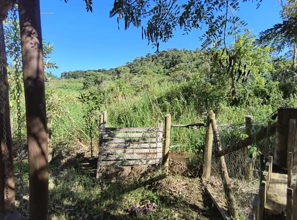 Sítio, 1 quarto, 4000 m² - Foto 2