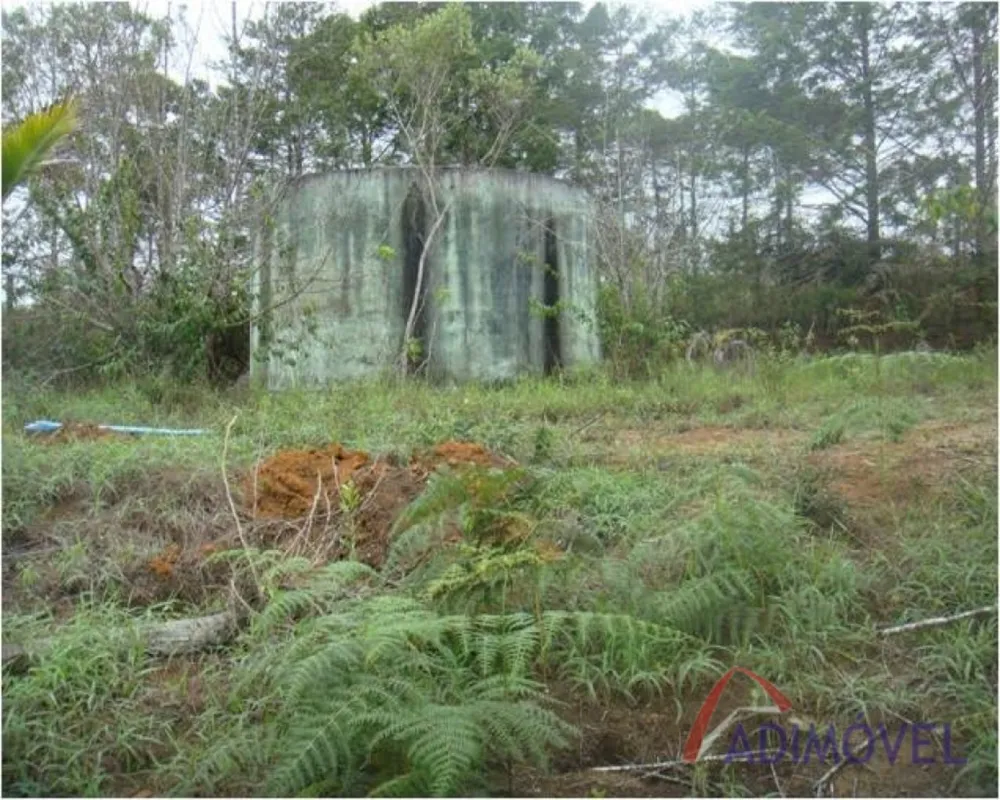 Casa, 3 quartos, 183 m² - Foto 8