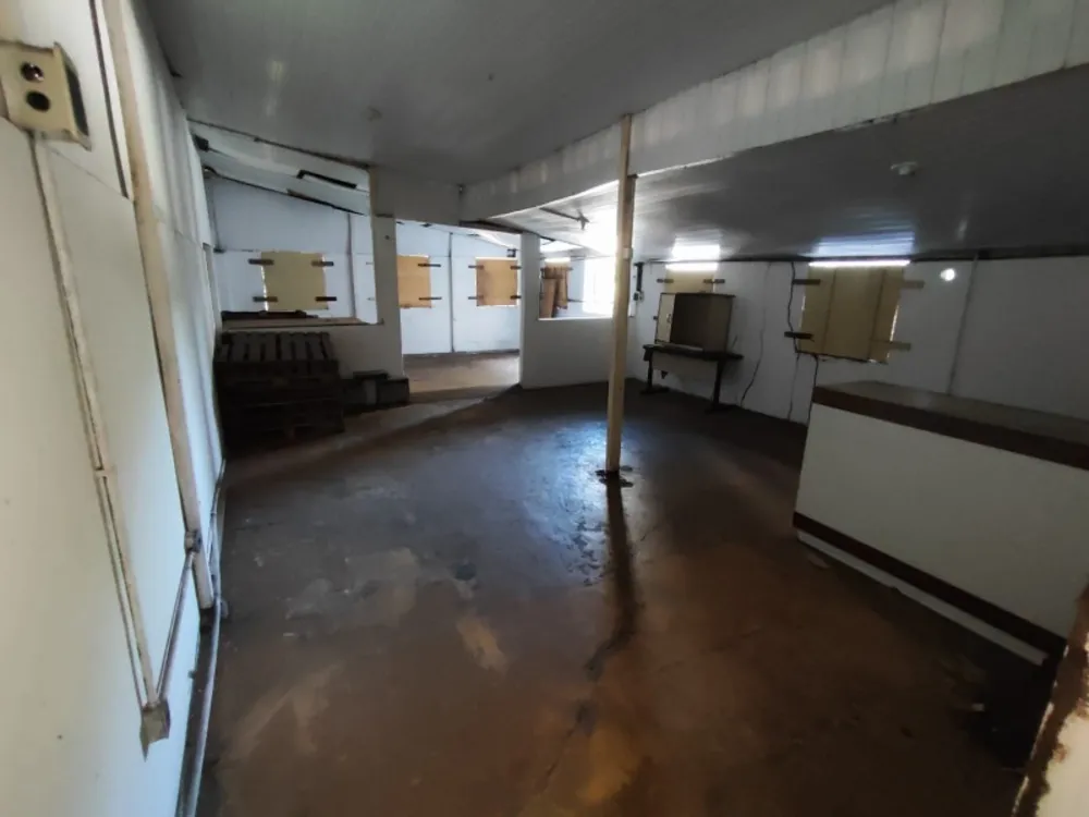 Casa, 3 quartos, 268 m² - Foto 10