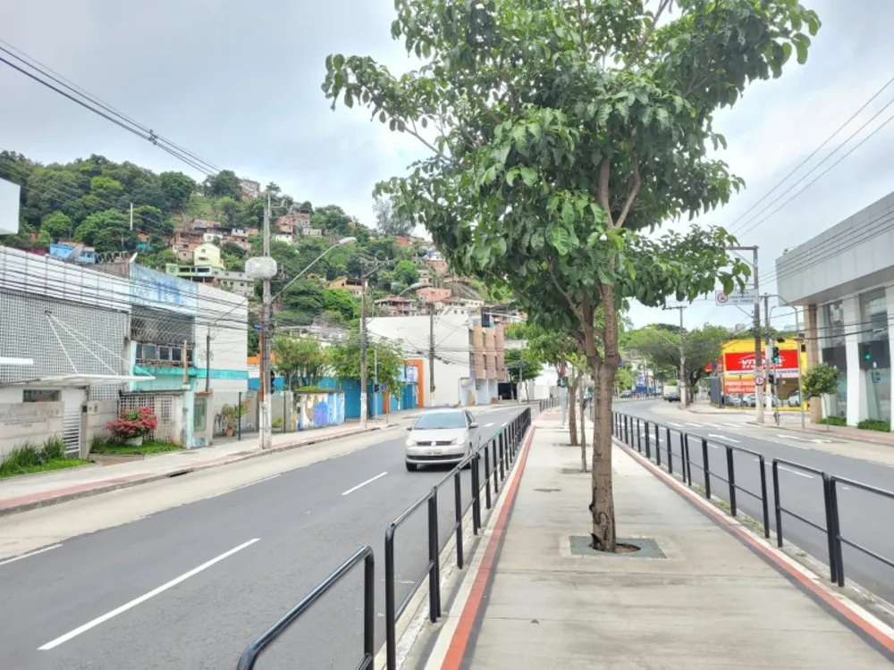 Loja-Salão, 255 m² - Foto 7