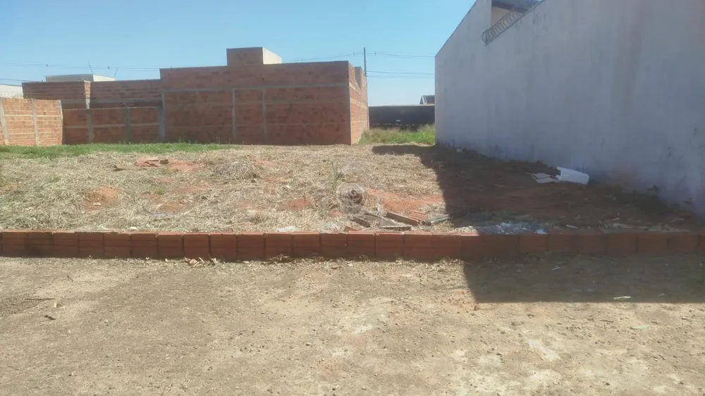 Terreno - Foto 1