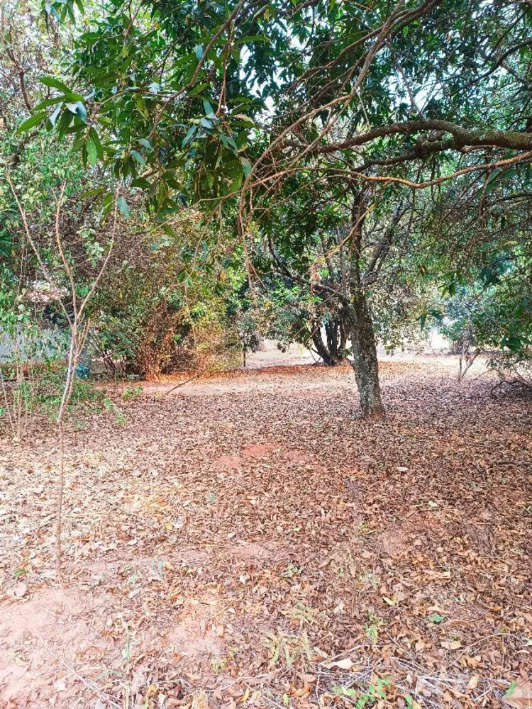 Chácara, 2 quartos, 5000 m² - Foto 7