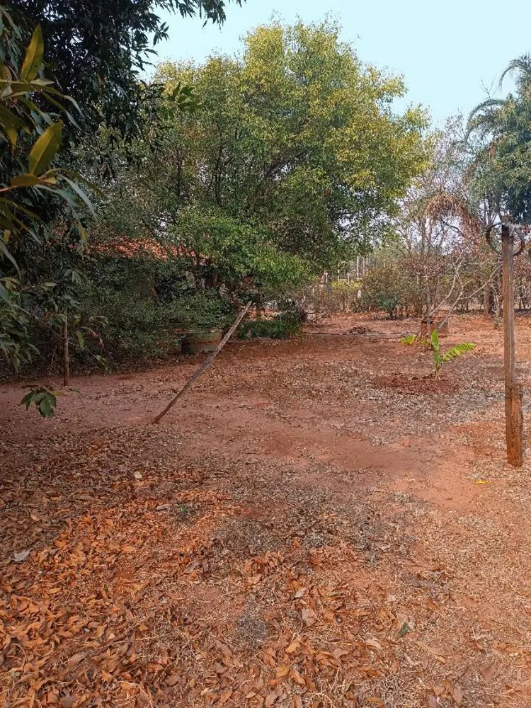 Chácara, 2 quartos, 5000 m² - Foto 4