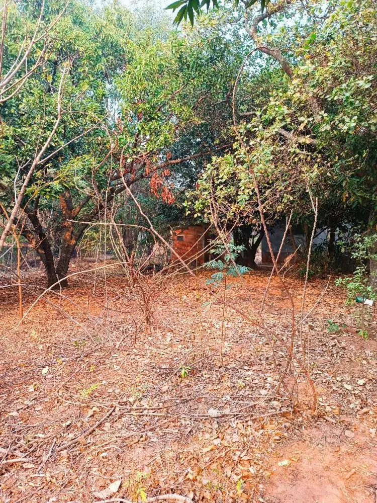 Chácara, 2 quartos, 5000 m² - Foto 8