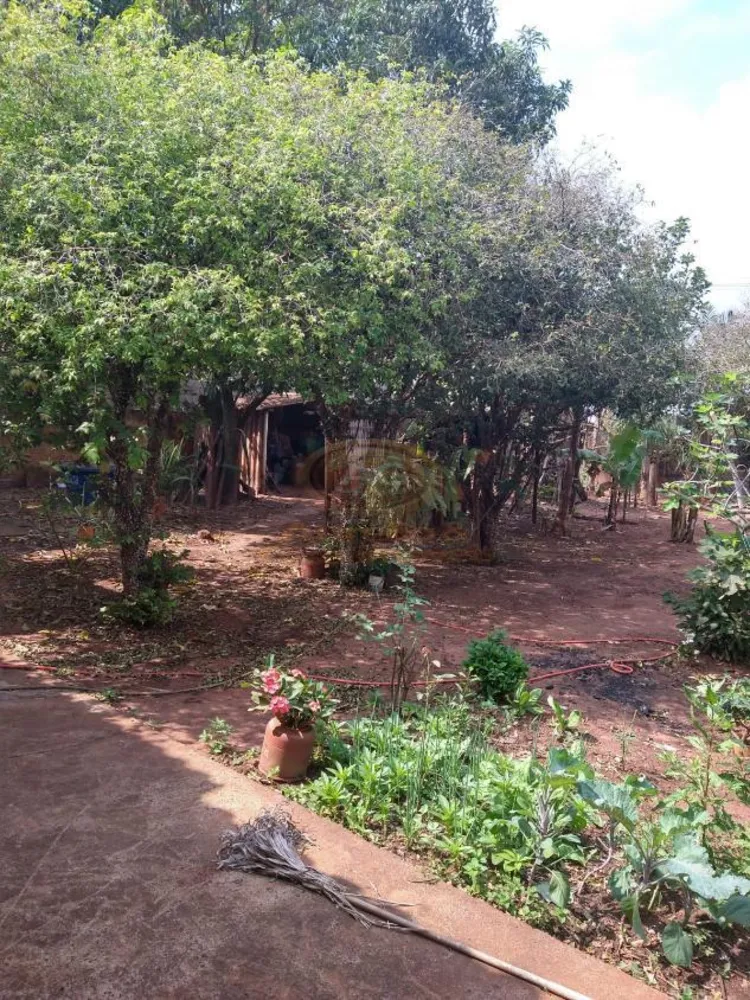 Chácara, 5 quartos, 1000 m² - Foto 7