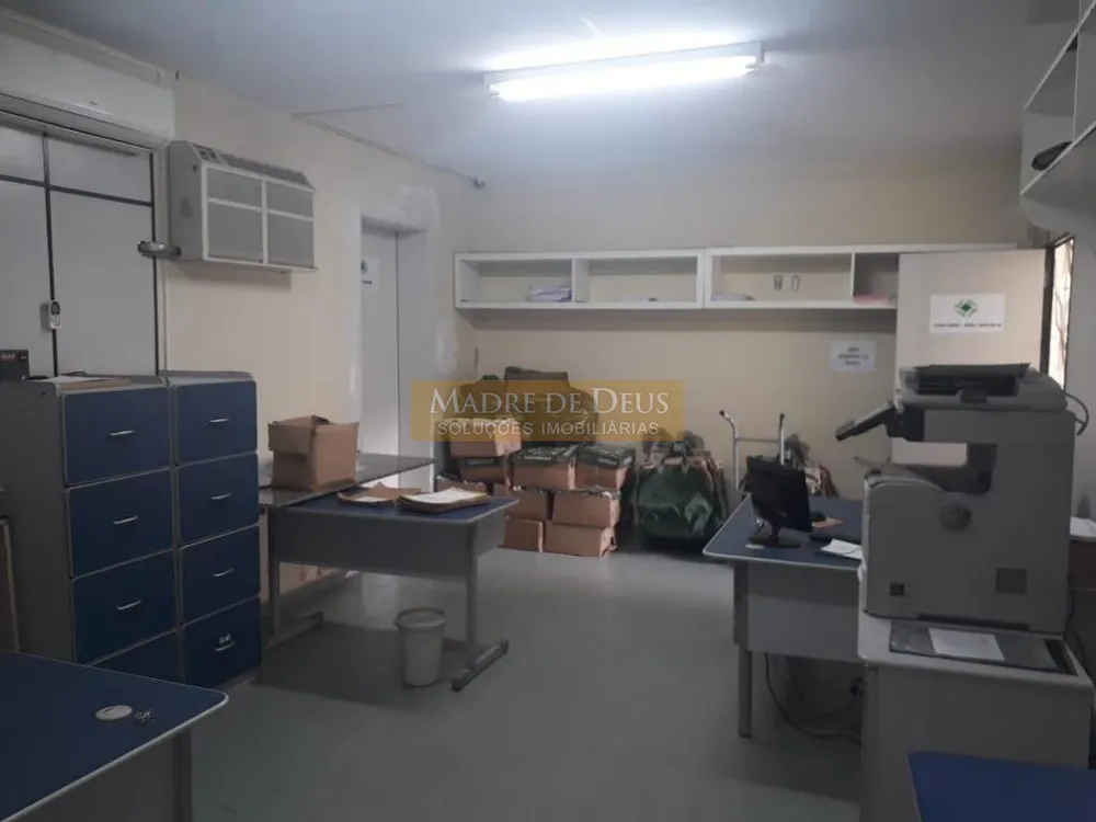 Casa, 6 quartos, 300 m² - Foto 3