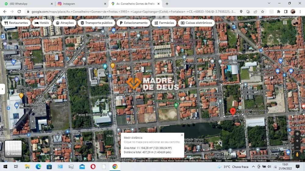 Terreno, 10000 m² - Foto 5