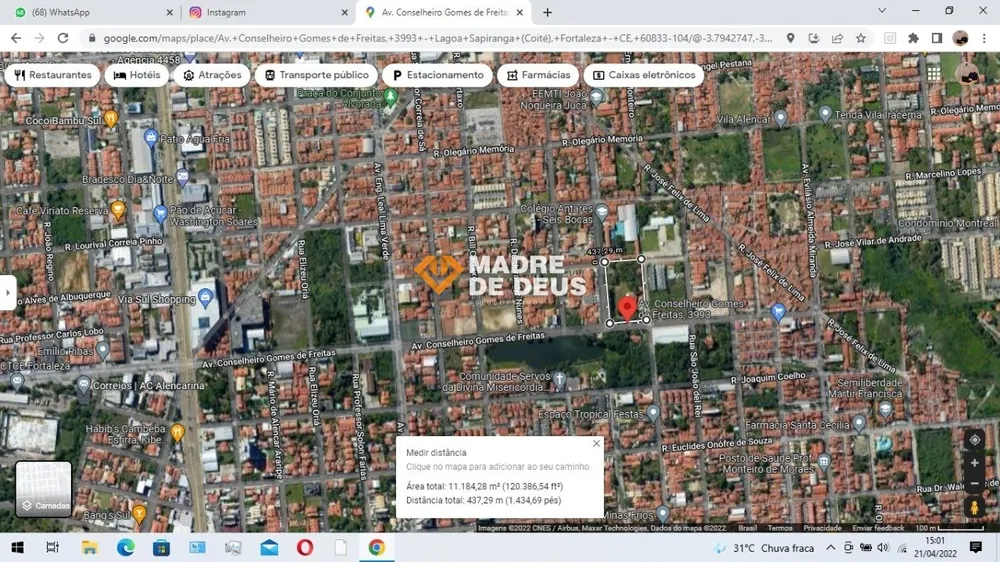 Terreno, 10000 m² - Foto 6