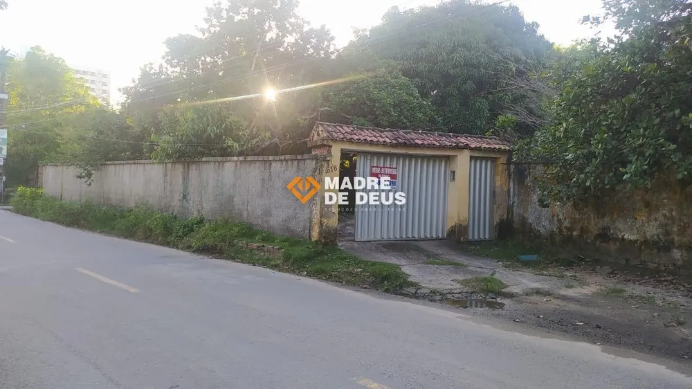 Chácara, 4 quartos, 5000 m² - Foto 10
