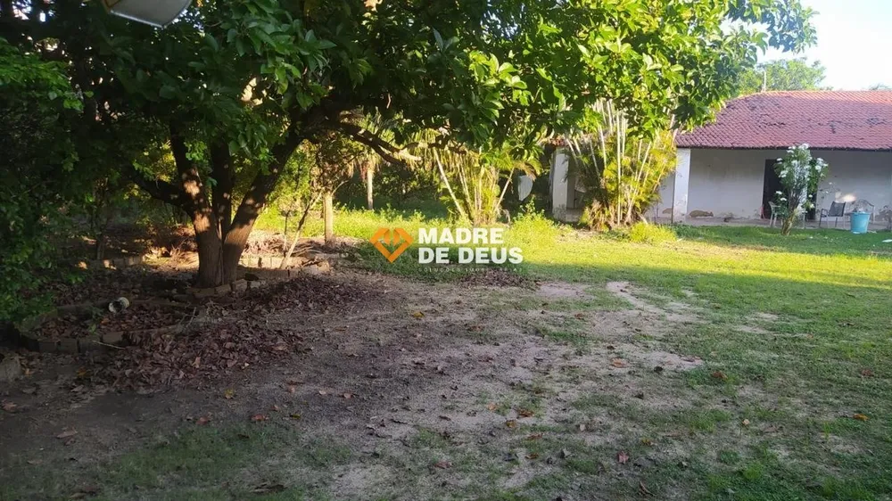Chácara, 4 quartos, 5000 m² - Foto 6