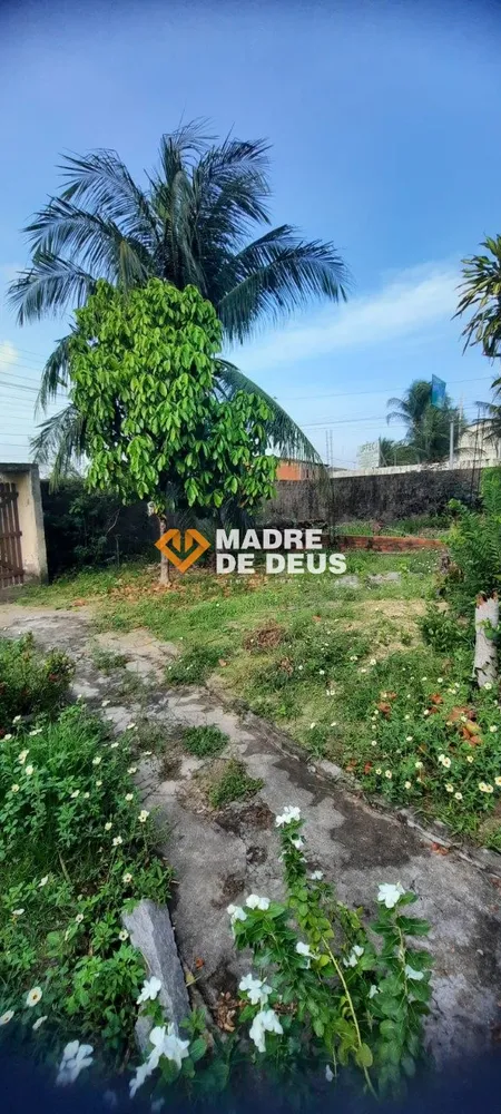 Terreno, 1000 m² - Foto 4