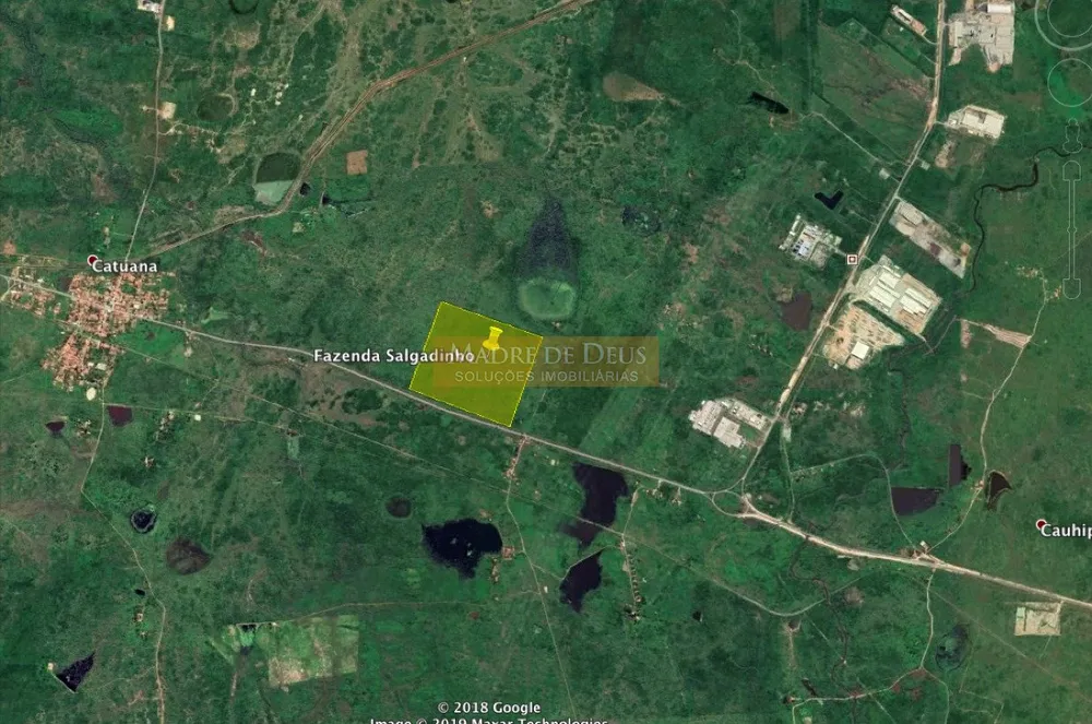 Terreno, 55 hectares - Foto 1