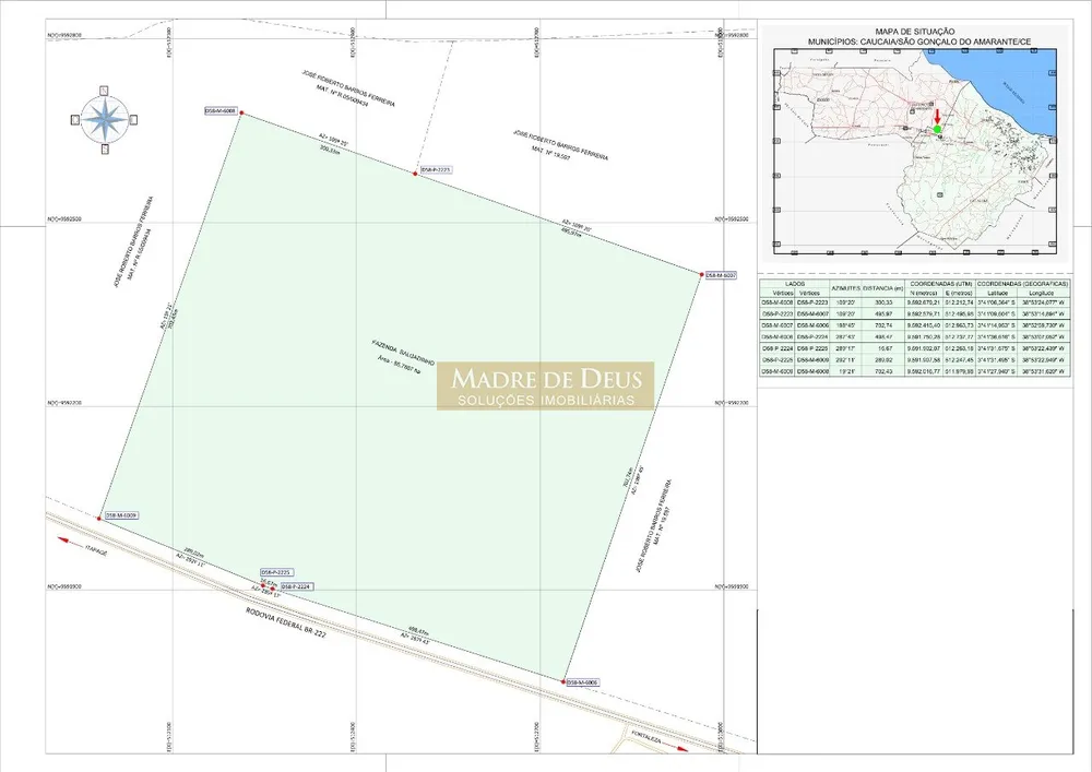 Terreno, 55 hectares - Foto 2