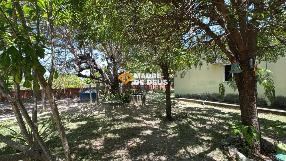 Chácara, 4 quartos, 2904 m² - Foto 4