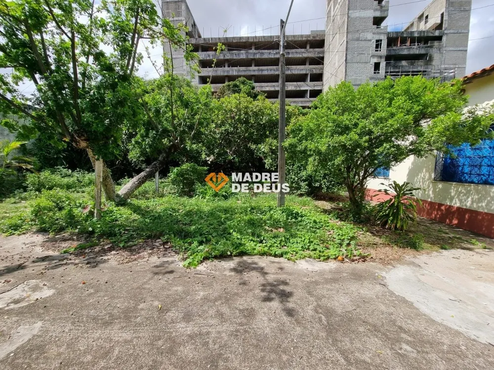 Terreno, 4066 m² - Foto 3