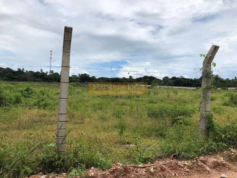 Terreno, 3 hectares - Foto 3