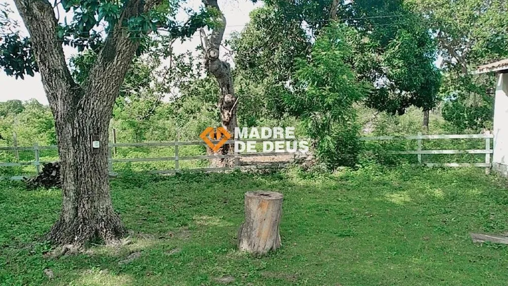 Terreno, 21 hectares - Foto 4