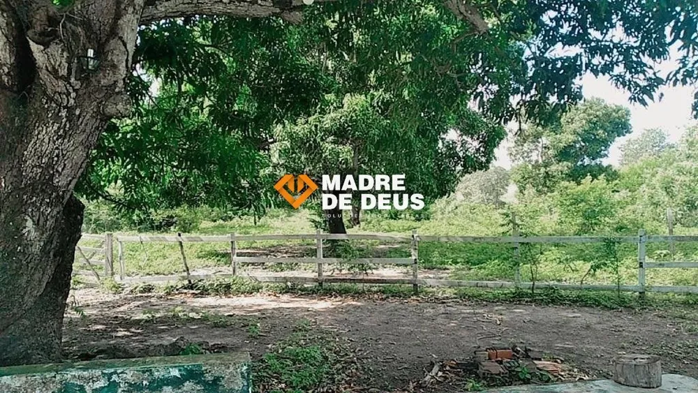 Terreno, 21 hectares - Foto 7