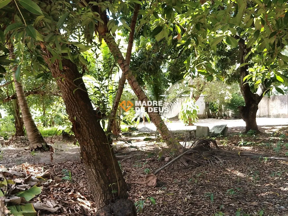 Terreno, 4658 m² - Foto 12
