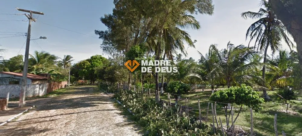 Terreno, 8 hectares - Foto 3
