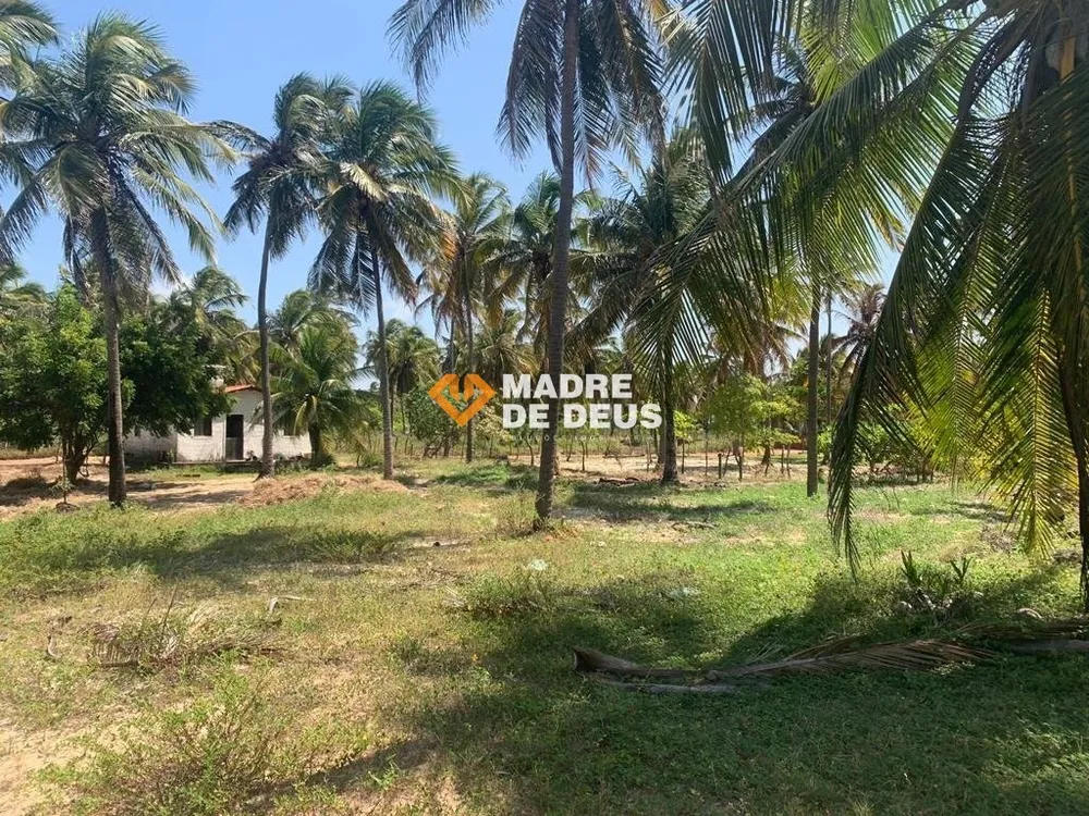 Casa, 4 quartos, 4039 m² - Foto 2