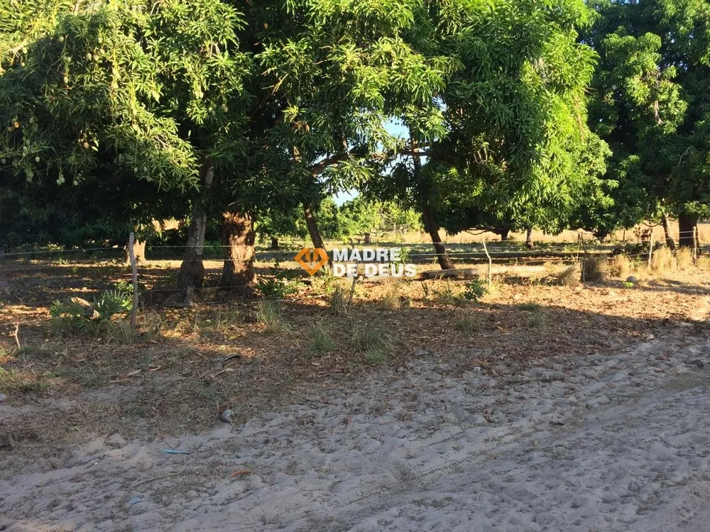 Terreno, 3 hectares - Foto 6