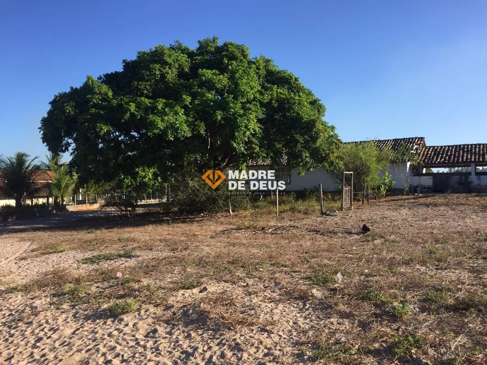 Terreno, 3 hectares - Foto 4