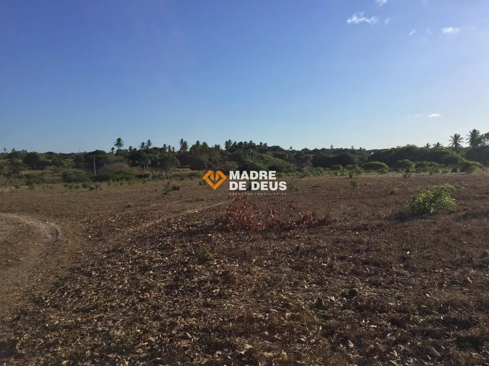 Terreno, 3 hectares - Foto 1