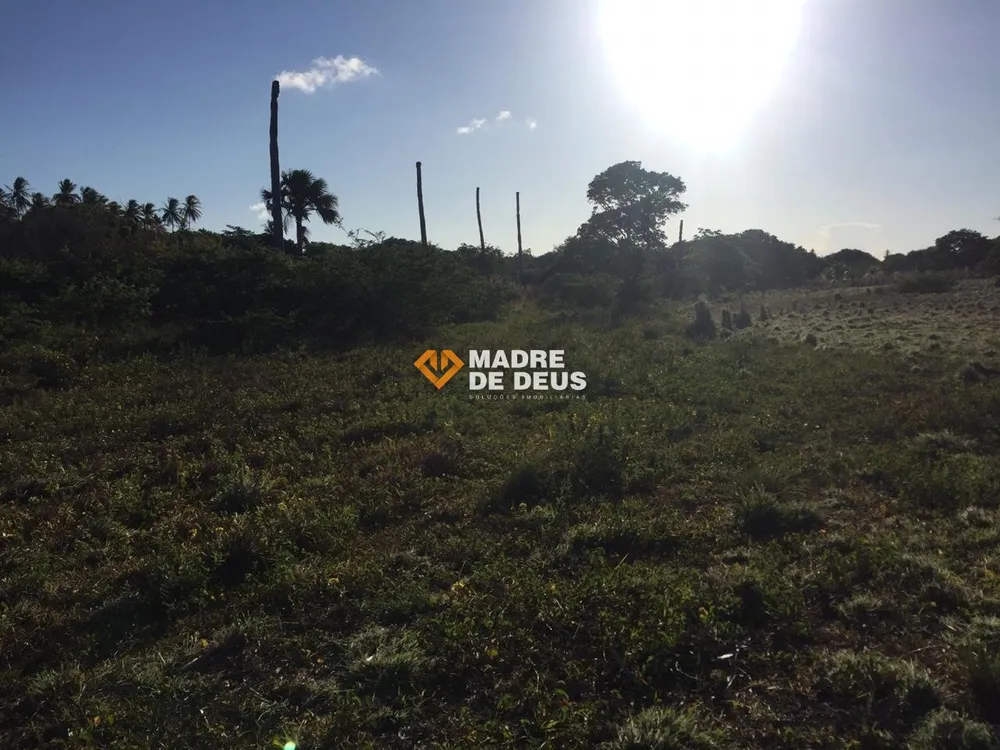 Terreno, 3 hectares - Foto 8