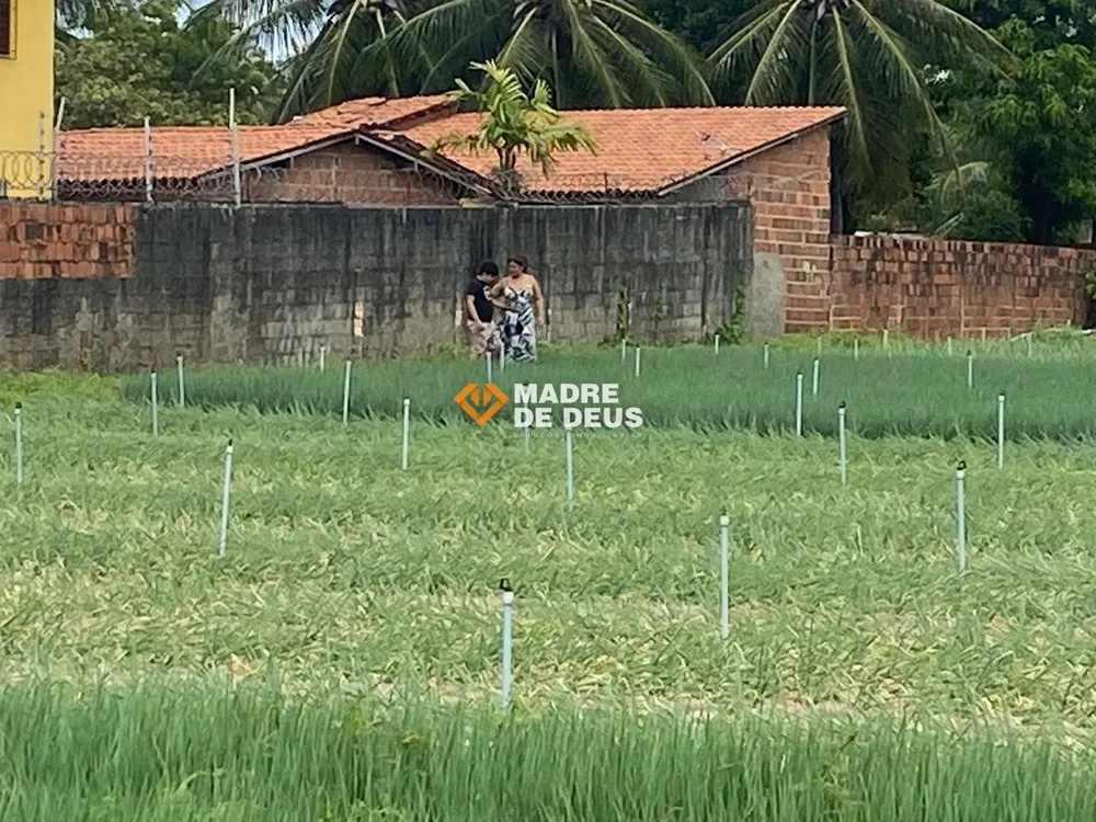 Terreno, 1 hectares - Foto 11