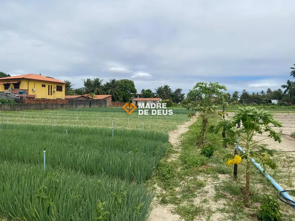 Terreno, 1 hectares - Foto 8