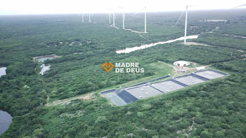 Terreno, 160 hectares - Foto 1